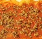 Pizza fatta in casa al pomodoro con vongole