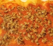 Pizza fatta in casa al pomodoro con vongole