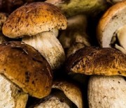 funghi-porcini-sottaceto