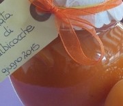 Marmellata fatta in casa di albicocche