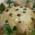 Antipasto tonno e funghi porcini di Endy