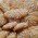 Biscottini di Novara